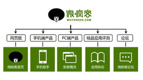 在iOS与Android之外 为何选择Windows Phone软件服务的考量